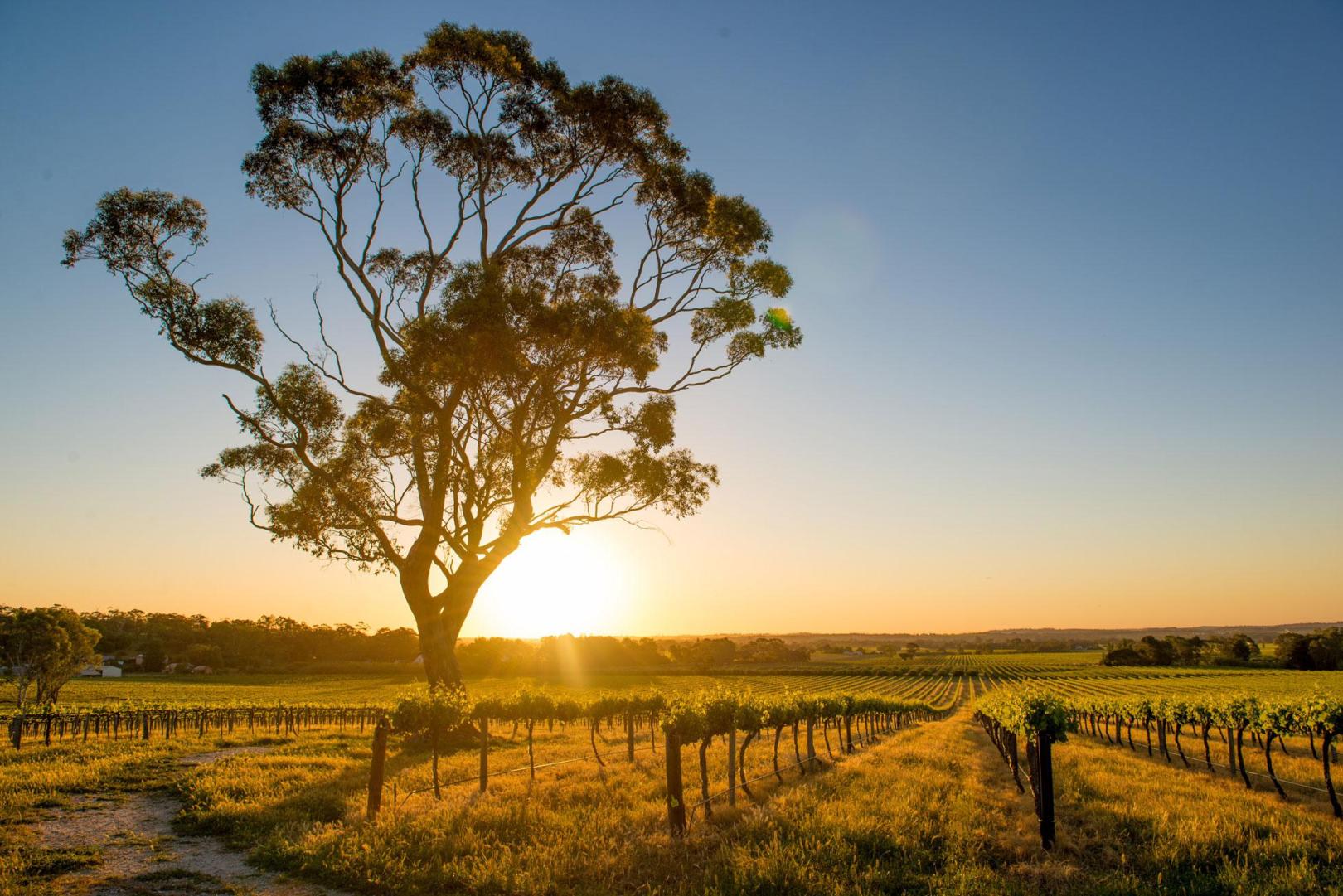 Australien Australien