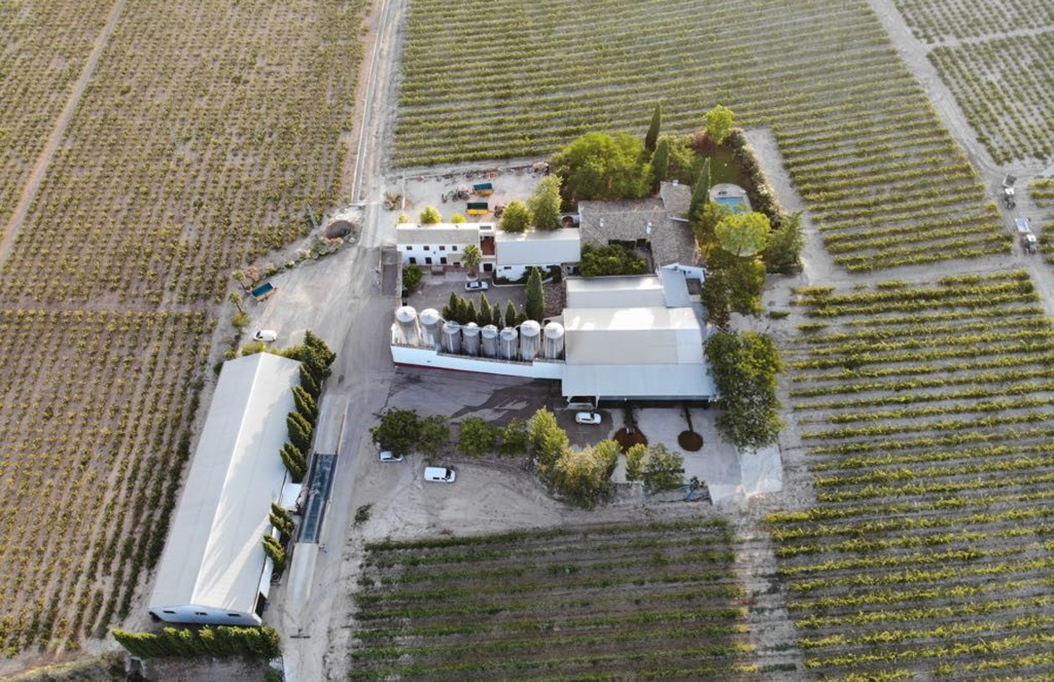 Bodega Perez Barquero