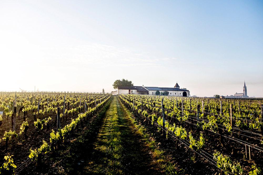 Château Clos L'Eglise