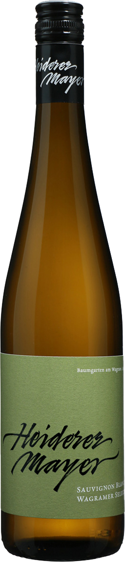 Sauvignon Blanc Wagramer Selektion Wagram QW 2020 Sauvignon Blanc Wagramer Selektion Wagram QW 2020