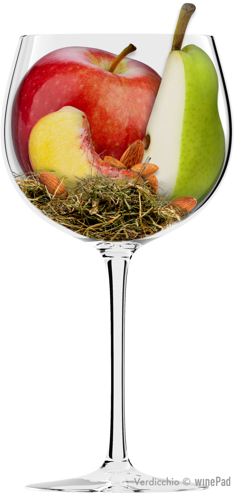 Verdicchio 
